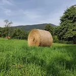 Porebana Osada Appartamento