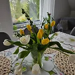 Porebana Osada Appartamento Długopole-Zdrój