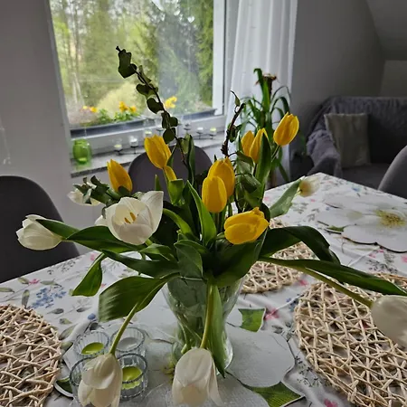 Porebana Osada Appartement Długopole-Zdrój