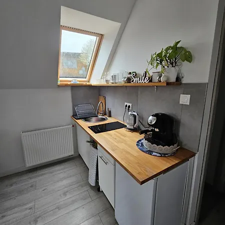 Διαμέρισμα Porebana Osada Długopole-Zdrój