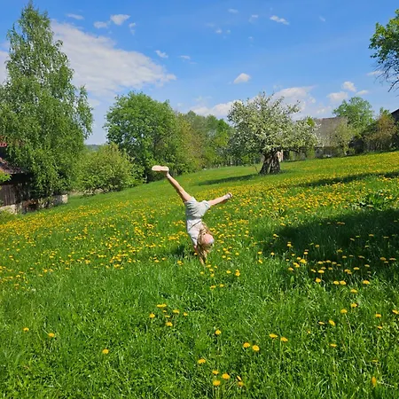 Appartement Porebana Osada *