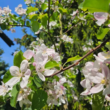 Porebana Osada Διαμέρισμα Długopole-Zdrój
