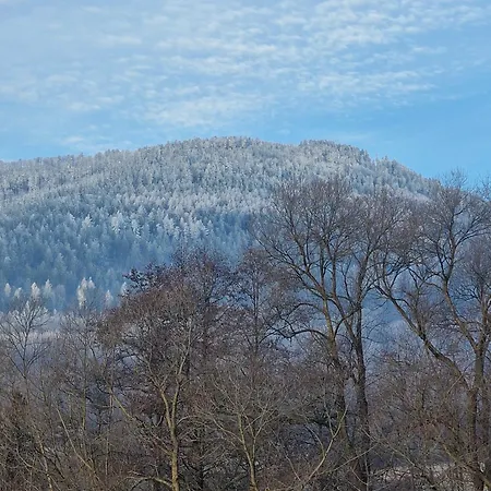 Porebana Osada Długopole-Zdrój