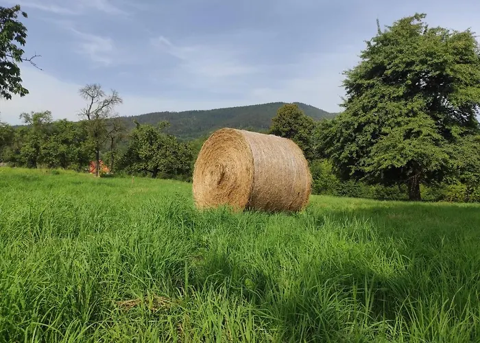 Porebana Osada Апартаменты