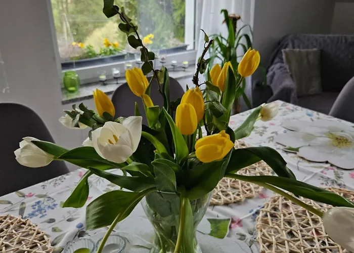 Porebana Osada Апартаменты Длугополе-Здруй