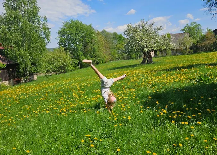 Апартаменты Porebana Osada *