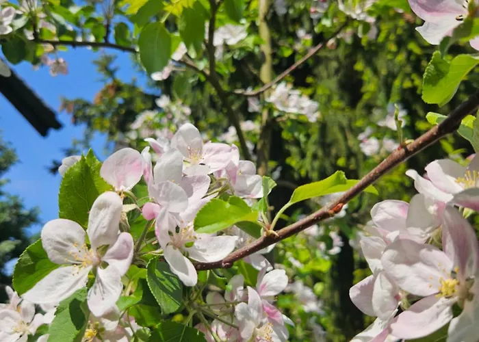 Porebana Osada Apartamento Długopole-Zdrój